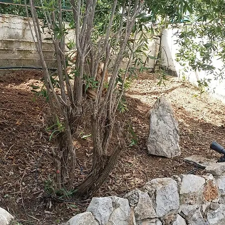 Terra Mare * Porto Heli