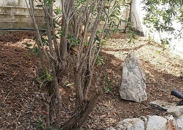 Terra Mare * פורטו הלי